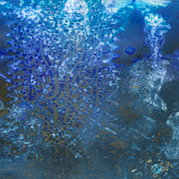 water-media-image-4